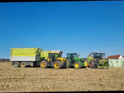 Bild 3:Maisballen Ernte 2025