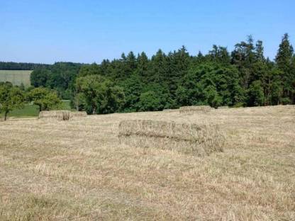 Bild 2:Greenland Quaderballenpresse