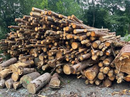 Brennholz
