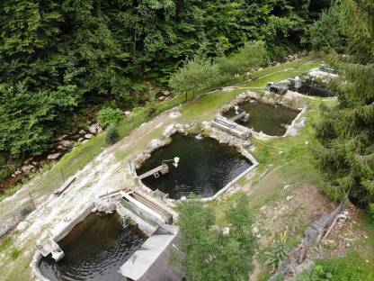 Bild 3:Landwirtschaftliches Grundstück mit Hobbyfischzucht
