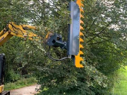 Lohnarbeit Waldrandpflege, Ästeschneiden Holzschlägerung