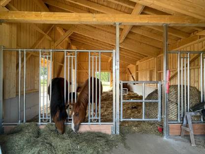 Bild 4:Einstellplatz im Offenstall