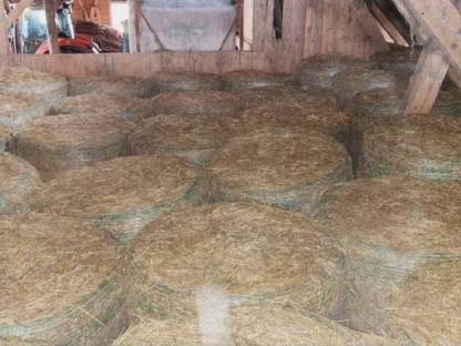 Bild 2:Heu Heuballen Rundballen Ernte 2024