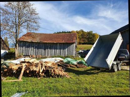 Bild 2:Brennholz weich