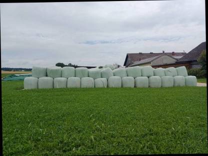 Bild 2:Siloballen 135cm
