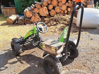 Bild 3:Berg Gokart XT-3 mit Überrollbügel