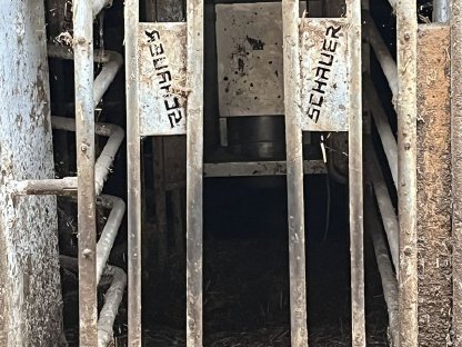 Kraftfutterstation, Transponderfütterung, Transponder