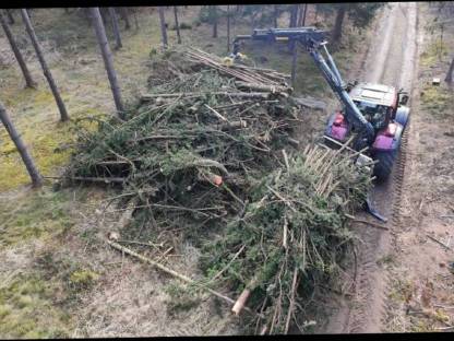 Holz zur Hackguterzeugung