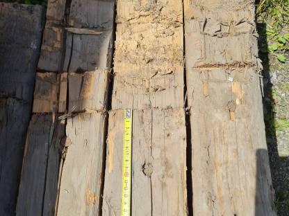 Bild 6:Gehackte Trame, Altholz