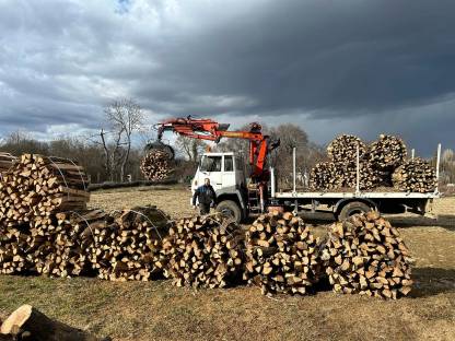 Bild 8:Steyr 991 Allrad