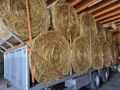 Verkaufe Roggenstroh und Haferstroh in Rundballen