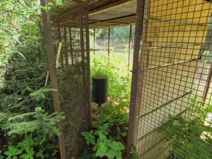 Bild 3:Voliere Hühnerstall Fasane Vögel