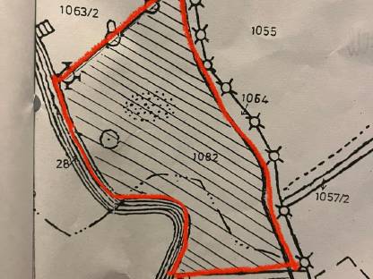 Bild 7:Landwirtschaftliches Grundstück mit Hobbyfischzucht
