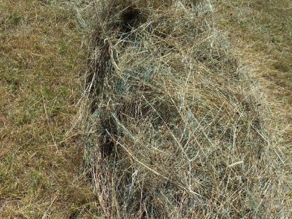 Bild 4:Heuballen zu verkaufen