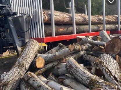 Bild 6:Rungenanhänger/Holzanhänger Palm Kran 675