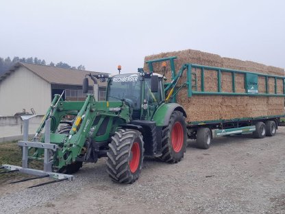 Bild 5:Stroh Gemulcht