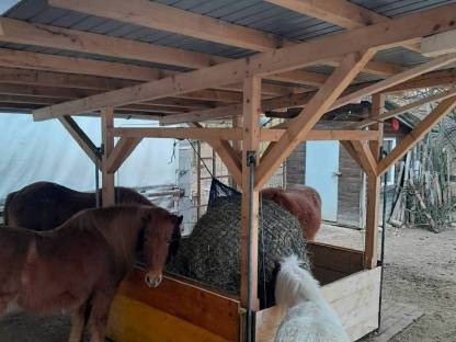 Bild 6:Einstellplatz im Offenstall