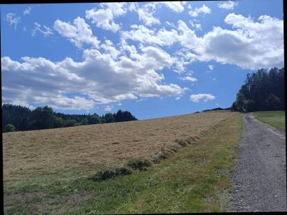 Bild 4:Bio Heu Rundballen Heuballen