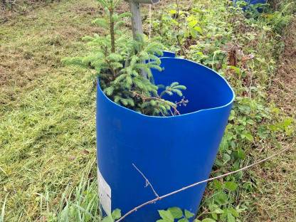 Bild 2:Plastikfässer