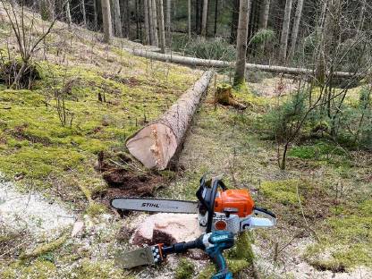 biete Forstarbeiten an