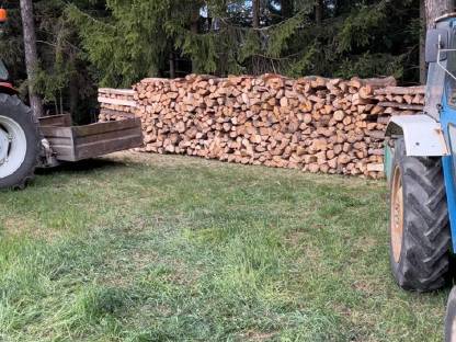 Brennholz