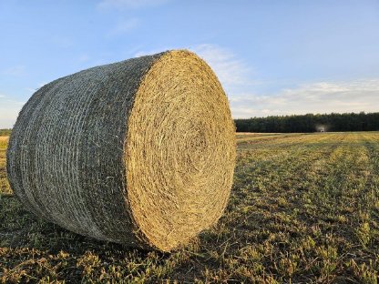 Heu Rundballen Rotklee- und Wiesenheu