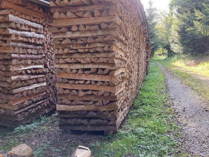 Verkaufe trockenes Brennholz weich und hart