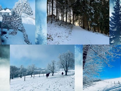 Bild 9:Pferde-Einstellplatz