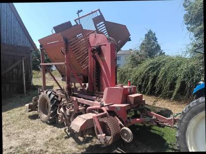 Bild 4:Barigelli Collina E