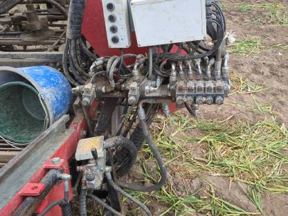 Bild 5:Knoblauchroder