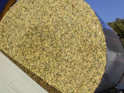 Maissilageballen zu verkaufen
