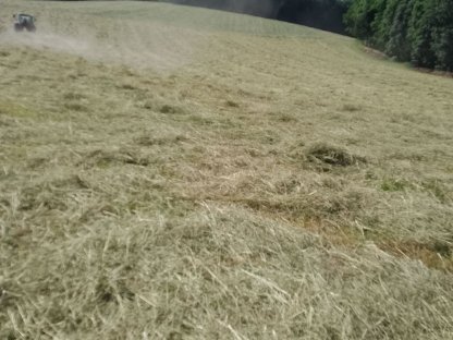 Heuballen