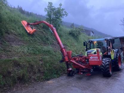 Bild 2:Auslegemulcher Drücker