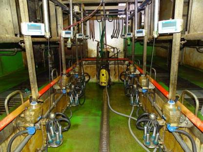 Bild 2:Stalleinrichtung, Aufstallungen, Tränkewanne, Melkstand