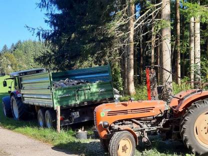 Bild 2:Brennholz Buche