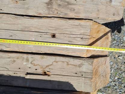 Bild 7:Gehackte Trame, Altholz