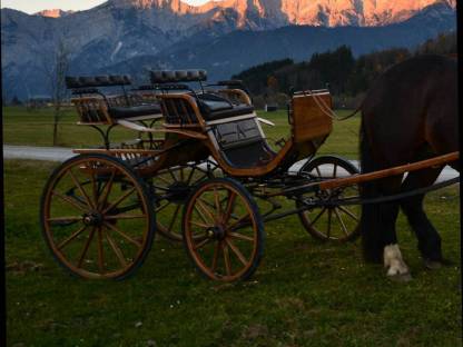 Bild 6:Linzer Wagerl, Spider-Kutsche, Dressurwagen - Noriker Haflin