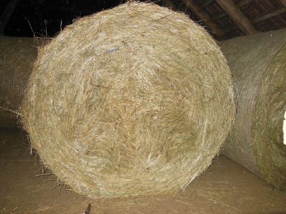 Heu, Rundballen, 1. Schnitt 2025, beste Qualität