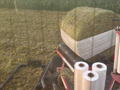 Bild 2:Siloballen 1,25 m 2. Schnitt 2025, 90 Stk. verfügbar