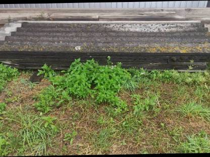 Welleternitplatten
