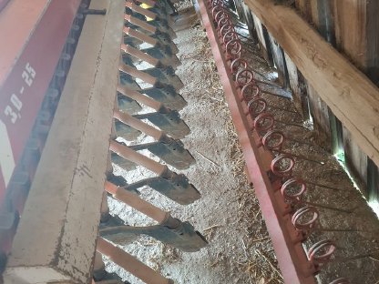 Bild 4:Reform Semo 99 - 3