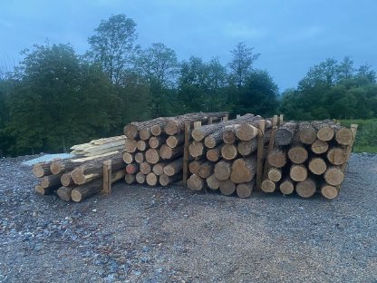 Bild 7:Akazienpfähle