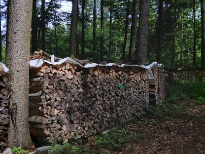 Brennholz, Scheitholz