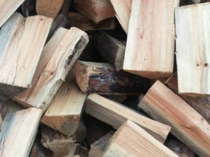 Bild 4:Brennholz