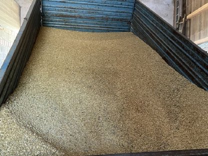 Verkaufe Bio-Getreide gemischt