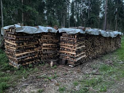 Brennholz, Scheitholz, Fichte 1m lang gespalten