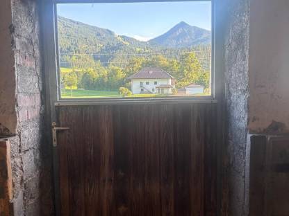 Bild 3:Stalltür Lärche