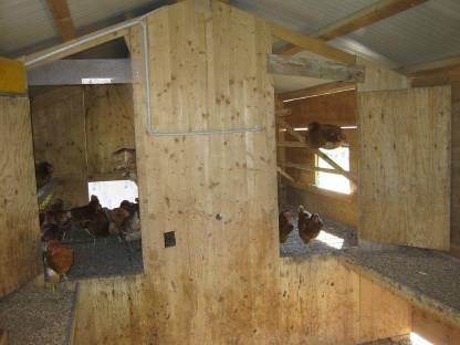 Bild 3:Legehennen Ställe (PKH)