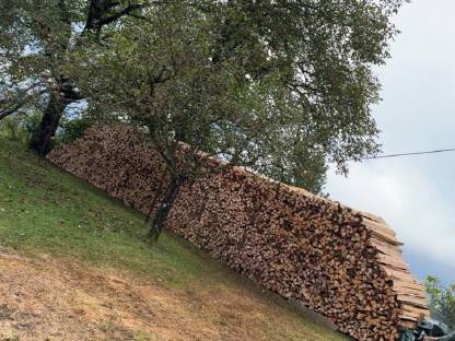 Buchenbrennholz
