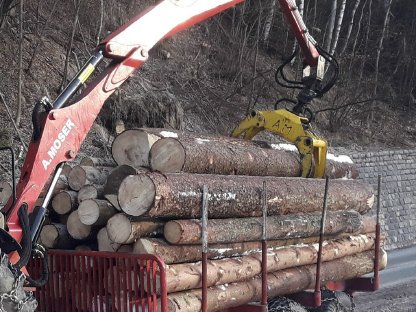Bild 3:Rungenwagen, Rückewagen, Forstanhänger